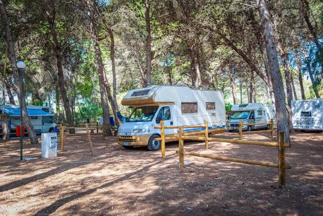 Camper parcheggiato sotto alberi.