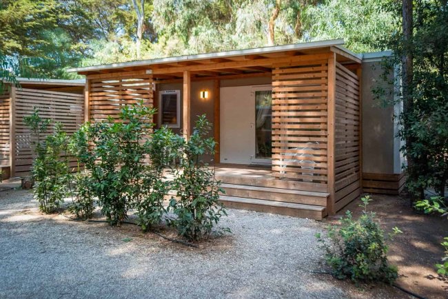 Bungalow in legno con veranda e piante.