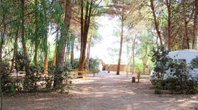 Area camper in un bosco ombreggiato.
