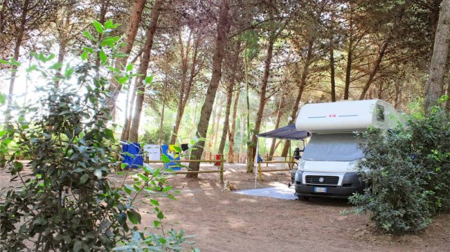 Camper parcheggiato tra gli alberi.