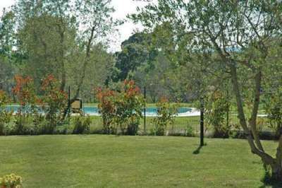 Un giardino con prato e alberi, vista su una piscina e cespugli.