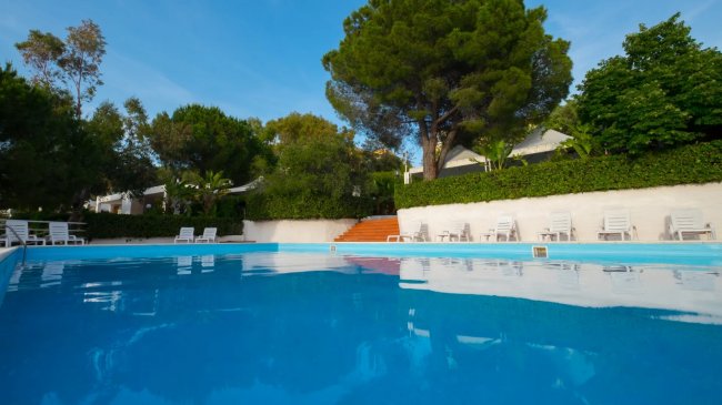 Piscina circondata da alberi e sedie a sdraio.