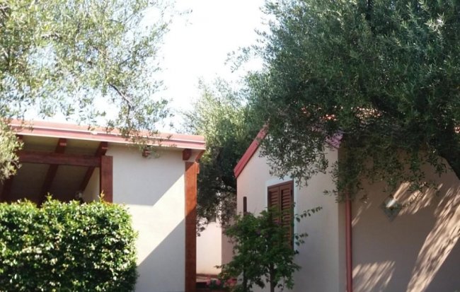 Casette tra alberi verdi e cespugli.