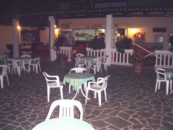 Cortile con tavoli e sedie in plastica, circondato da piante e un bar sullo sfondo.