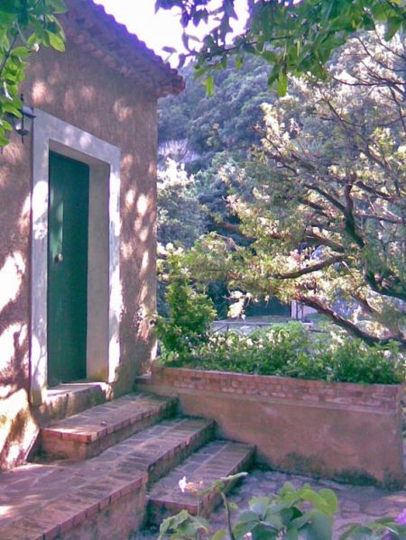 Edificio con porta verde, circondato da alberi e vegetazione.