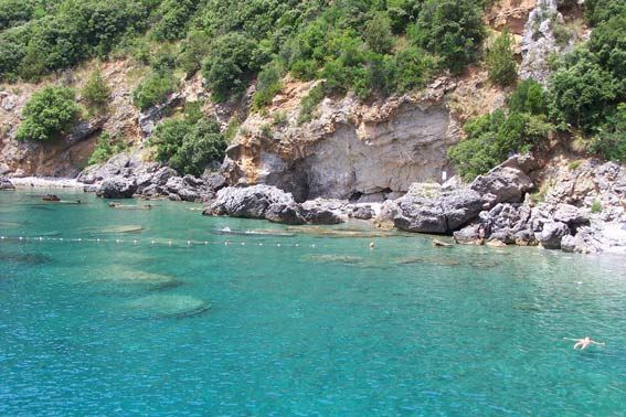 Una scogliera rocciosa con vegetazione fitta si affaccia su un mare turchese limpido.