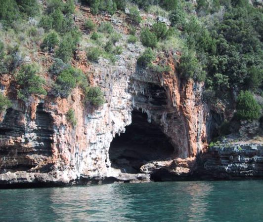 Una grande grotta rocciosa si apre sulla parete di una scogliera ricoperta di vegetazione.