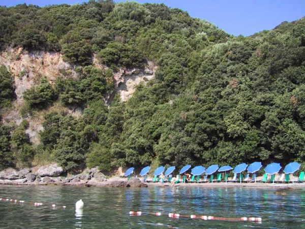 Spiaggia con ombrelloni blu disposti fronte a una scogliera verdeggiante.