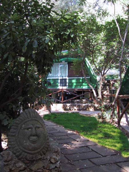 Un'area verde con una capanna verde tra gli alberi e un sentiero con una scultura in pietra.