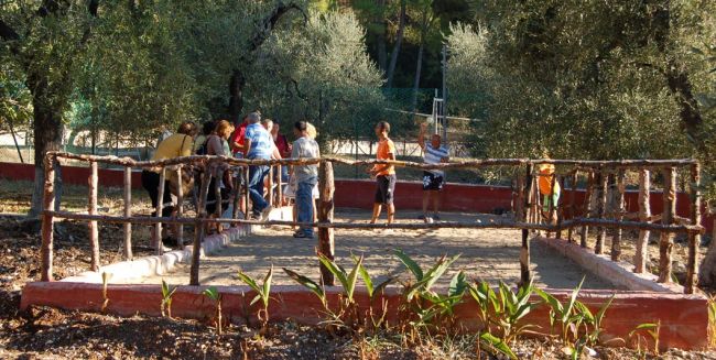 Persone che giocano a bocce in un campo all'aperto circondato da alberi.