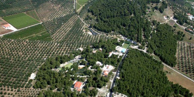 Terreno agricolo e colline coperte di alberi visti dall'alto.
