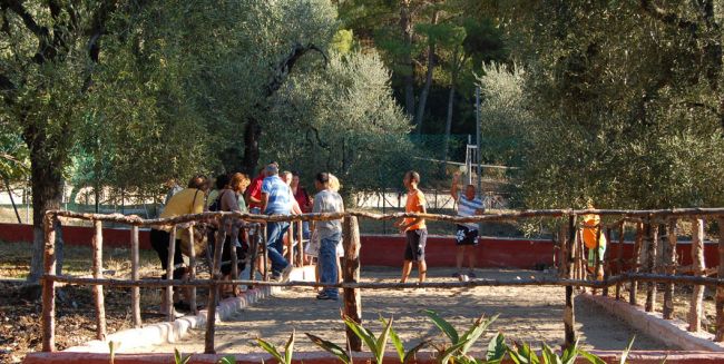 Un gruppo di persone gioca all'aperto in un'area circondata da alberi.