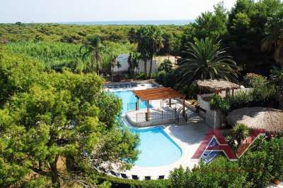 Una piscina all'aperto con palme e vegetazione lussureggiante intorno.