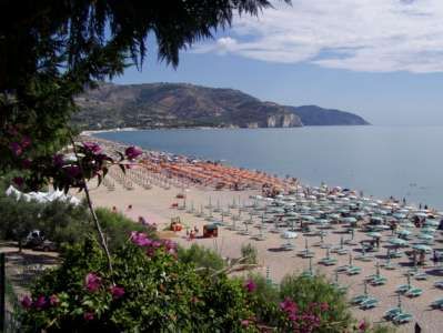 Lunga spiaggia con ombrelloni organizzati, mare calmo e montagne sullo sfondo.