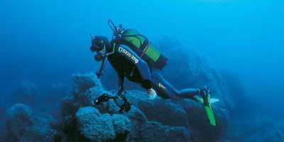 Un subacqueo esplora una barriera corallina in profondità, con attrezzatura da immersione.