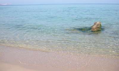Una riva sabbiosa con acqua limpida e una roccia affiorante.