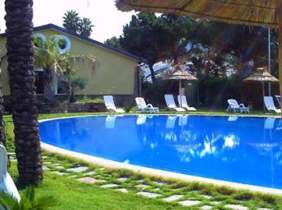 Piscina ovale con lettini e ombrelloni di paglia, circondata da erba e palme.