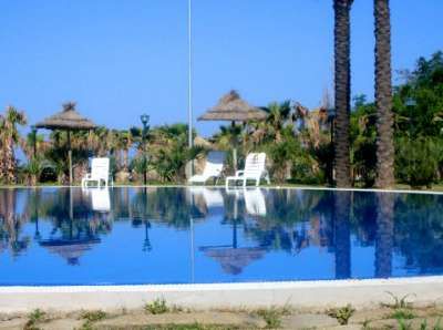 Piscina riflettente con palme e sedie a sdraio bianche.