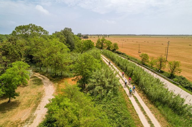 Percorso ciclabile immerso nel verde e campi aperti.