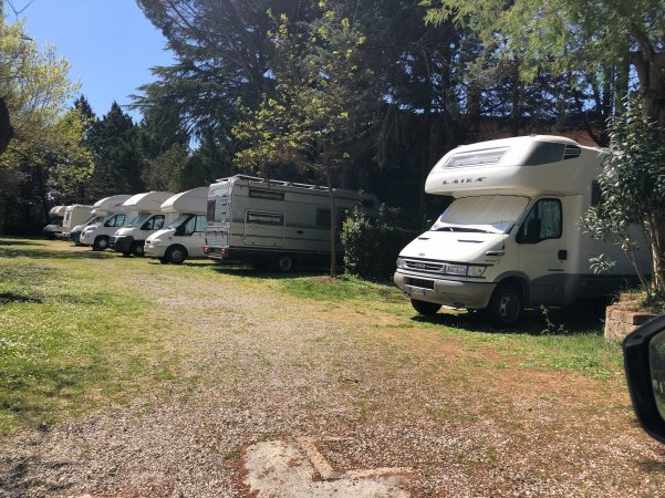 Roulotte parcheggiate in fila tra gli alberi.