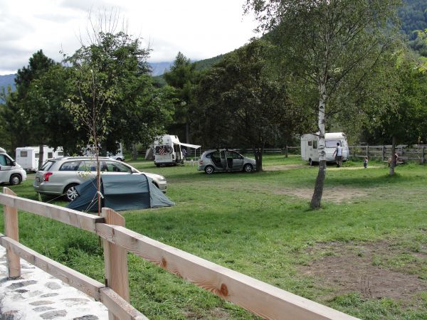 Campeggio erboso con tende, auto e roulotte tra alberi verdi.