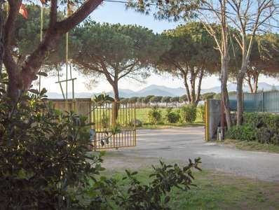 Un cancello aperto che conduce a una strada con alberi e montagne in lontananza.
