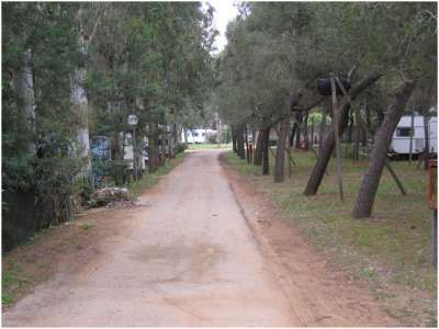 Un sentiero sterrato fiancheggiato da alberi e roulotte su entrambi i lati.