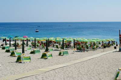 Spiaggia con file di ombrelloni verdi, sdraio e mare calmo, vista leggermente più lontana.