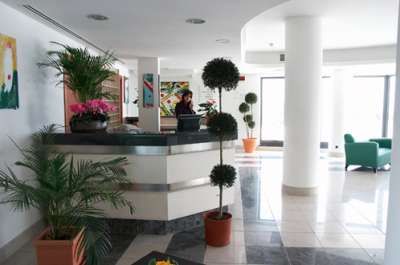 Reception moderna con piante ornamentali e opere d'arte.