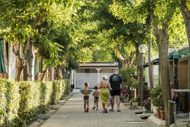 Famiglia passeggia su un viale alberato.