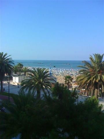 Vista sul mare con spiaggia sabbiosa e palme in primo piano.