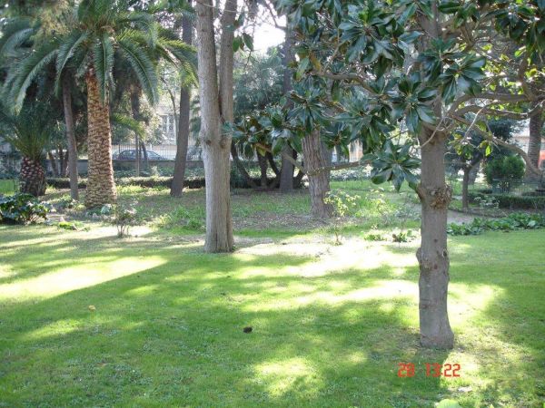 Un parco con erba verde, alberi e palme al sole.