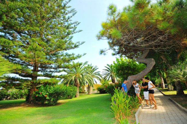Persone che passeggiano in un giardino con palme e pini.