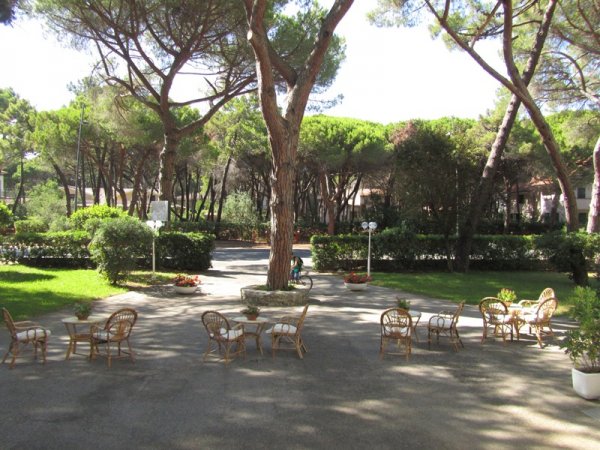 Tavoli e sedie in un giardino ombreggiato da alberi.
