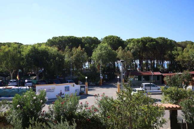 Ingresso del campeggio circondato da alberi e auto.