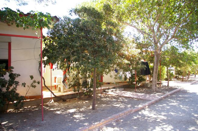 Un vialetto ombreggiato con alberi e vegetazione vicino a edifici chiari.
