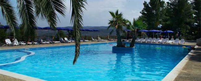 Piscina con palme e lettini bianchi.