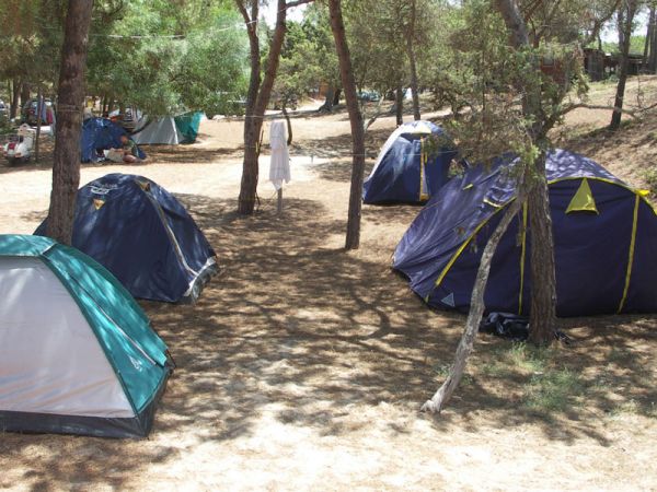 Tende da campeggio blu e verdi tra gli alberi in un'area boschiva.