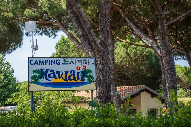 Insegna di un campeggio tra gli alberi con la scritta 