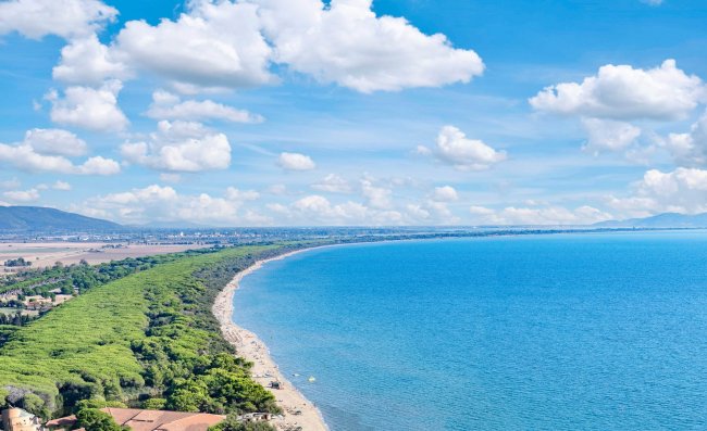 Vista aerea di una costa con spiaggia, mare azzurro e vegetazione.