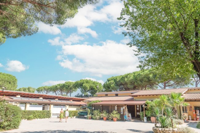 Un edificio con tetti in tegole, piante in vaso e cieli azzurri con nuvole soffici.