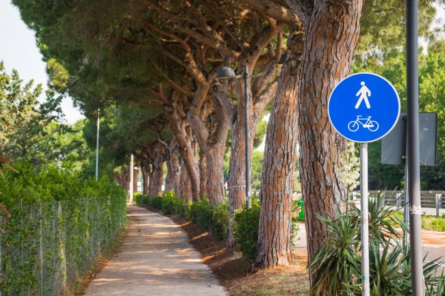 Un sentiero alberato con un cartello blu per pedoni e ciclisti.