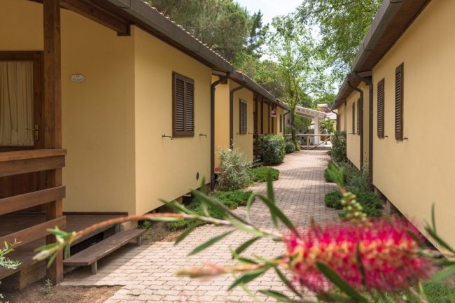 Percorso tra bungalow gialli con piante e un fiore rosso in primo piano.