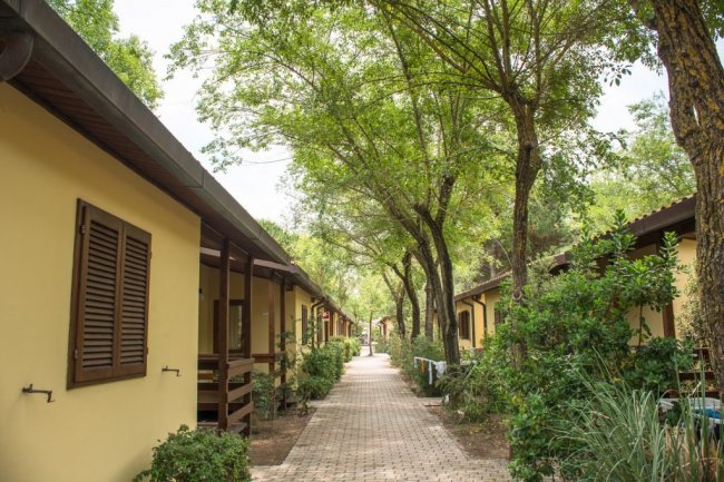 Un vialetto alberato tra bungalow gialli.