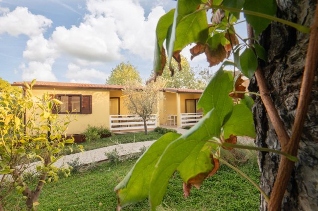 Esterni di bungalow gialli con terrazze, circondati da giardino verde e alberi.