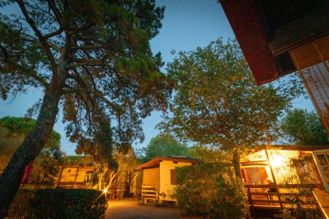Bungalow illuminati tra alberi al tramonto.