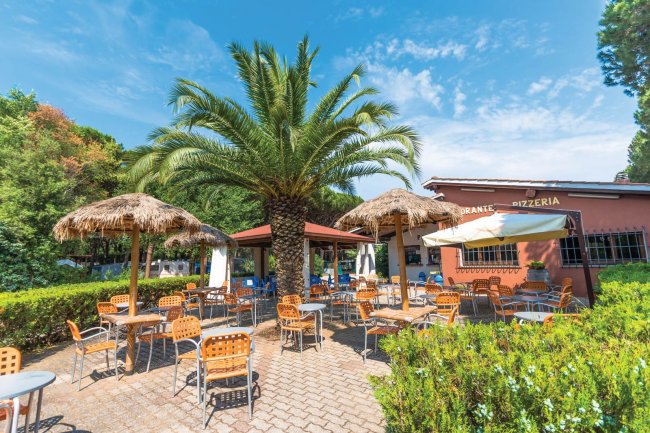 Area esterna con ombrelloni e palme presso un ristorante.