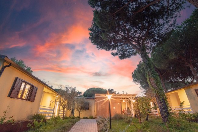 Cortile con edificio giallo, albero e cielo rosa al tramonto.