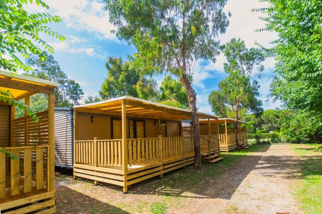 Camping Le Palme (LI) Toscana