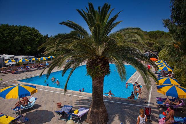 Piscina con ombrelloni gialli e blu, centrale una palma.